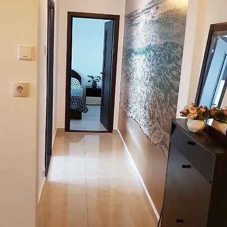 Apartament Raluca Apartment *