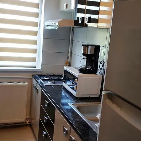Apartament Raluca Apartment