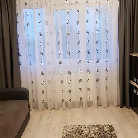 Apartament Raluca *